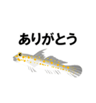 fish in the sea 9（個別スタンプ：7）