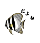 fish in the sea 9（個別スタンプ：8）