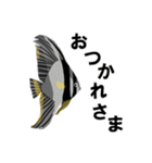 fish in the sea 9（個別スタンプ：9）