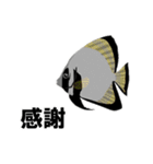 fish in the sea 9（個別スタンプ：11）