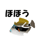 fish in the sea 9（個別スタンプ：15）