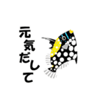 fish in the sea 9（個別スタンプ：17）