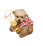 familly 4.（個別スタンプ：2）