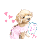 familly 4.（個別スタンプ：6）