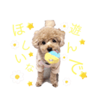 familly 4.（個別スタンプ：8）