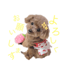 familly 4.（個別スタンプ：15）