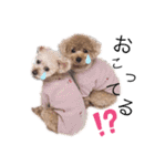 familly 4.（個別スタンプ：16）