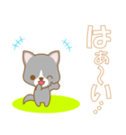 わんこ日和(雑種犬）-toYvu-（個別スタンプ：16）