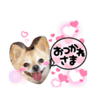 ナナちゃんスタンプ【よく使うワン⑤】（個別スタンプ：3）