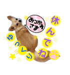ナナちゃんスタンプ【よく使うワン⑤】（個別スタンプ：4）