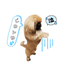 BMペキ(空)（個別スタンプ：2）