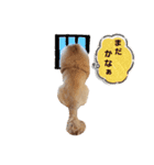 BMペキ(空)（個別スタンプ：3）