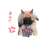 BMペキ(空)（個別スタンプ：4）