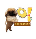 BMペキ(空)（個別スタンプ：13）