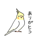 おらの動物園60-3【オカメインコ】（個別スタンプ：1）