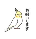 おらの動物園60-3【オカメインコ】（個別スタンプ：5）