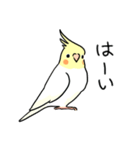 おらの動物園60-3【オカメインコ】（個別スタンプ：7）