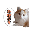 ミル君スタンプ（個別スタンプ：1）