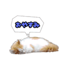 ミル君スタンプ（個別スタンプ：2）