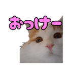 ミル君スタンプ（個別スタンプ：3）