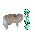 ミル君スタンプ（個別スタンプ：4）