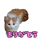 ミル君スタンプ（個別スタンプ：5）