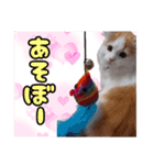ミル君スタンプ（個別スタンプ：8）