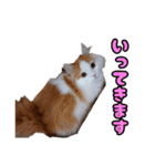ミル君スタンプ（個別スタンプ：11）