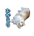 ミル君スタンプ（個別スタンプ：13）