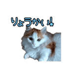 ミル君スタンプ（個別スタンプ：14）