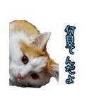 ミル君スタンプ（個別スタンプ：18）