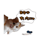 ミル君スタンプ（個別スタンプ：21）