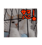 ミル君スタンプ（個別スタンプ：23）