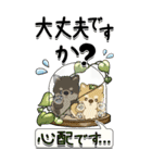 【Big】柴犬・ちゃちゃ丸 56『丁寧語』（個別スタンプ：14）