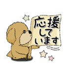 プードル犬 16『敬語』（個別スタンプ：24）