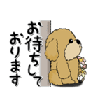 プードル犬 16『敬語』（個別スタンプ：38）