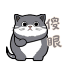 にゃんこライフ (漢字 Ver)（個別スタンプ：9）