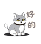 にゃんこライフ (漢字 Ver)（個別スタンプ：12）