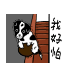 牛犬牛 犬牛犬（個別スタンプ：4）