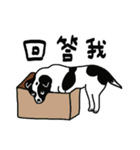 牛犬牛 犬牛犬（個別スタンプ：5）