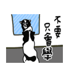 牛犬牛 犬牛犬（個別スタンプ：6）