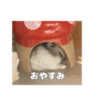 まろとおもち（個別スタンプ：5）