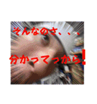 帰ってきてしまった！分裂スタンプ2023ver（個別スタンプ：20）
