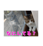 あるてぃめっと☆にゃいやもんど（個別スタンプ：7）