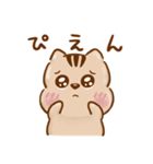 ポラリス君とゆるりと日常（個別スタンプ：16）