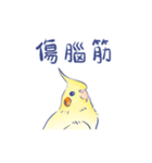 うごく！ことりララドン（中国語）（個別スタンプ：14）