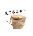 茶トラのしんちゃん（個別スタンプ：7）