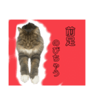 可愛い桐すけ（個別スタンプ：2）
