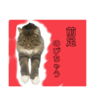 桐すけ（個別スタンプ：2）