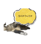 桐すけ（個別スタンプ：6）